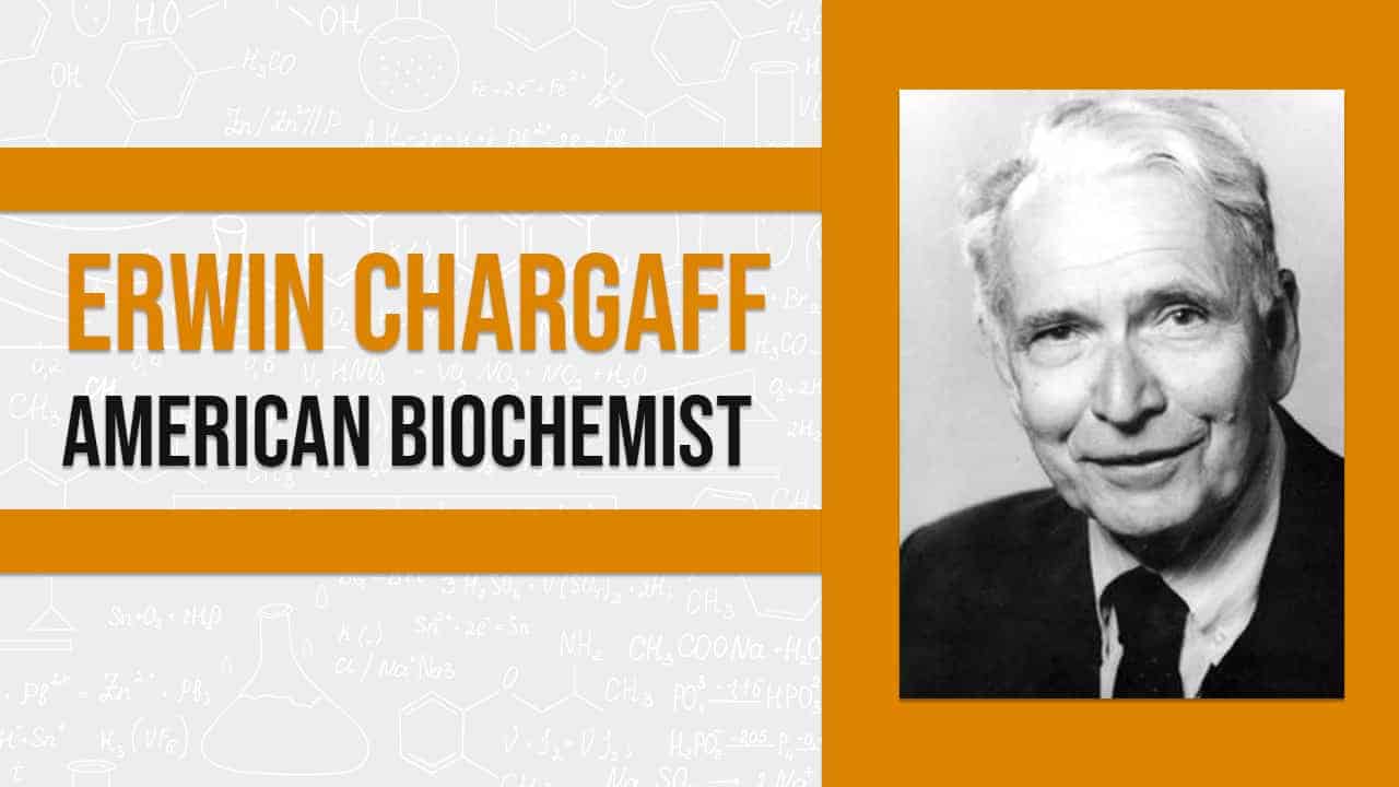 Erwin Chargaff American biochemist