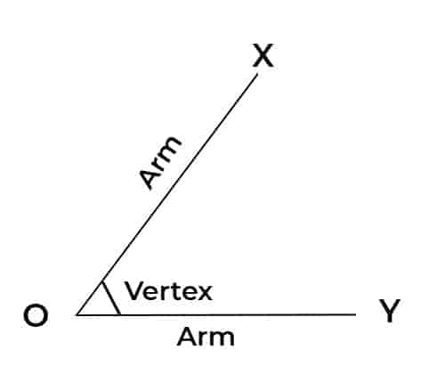 Parts of Angle