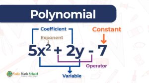 Polynomials From Basics! Types, Formula, Rules, Operation with Solved ...